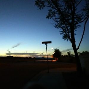 Meet your Posher, Jodie